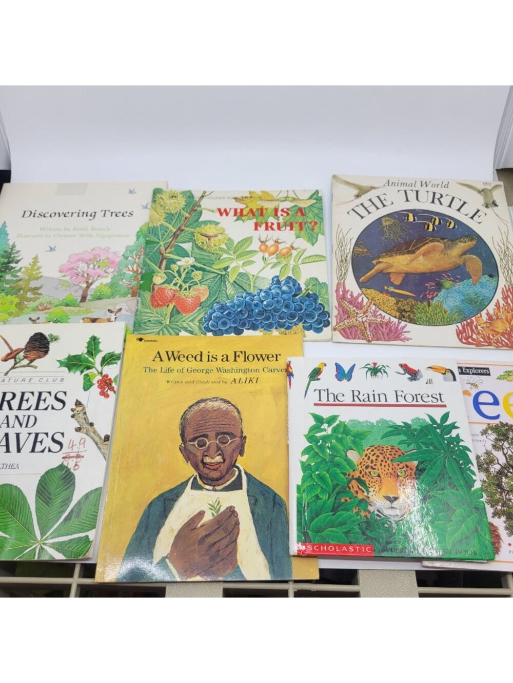 Children's Nature Study Book Lot - Trees, Flowers, Rain Forest, Turtles - BK206